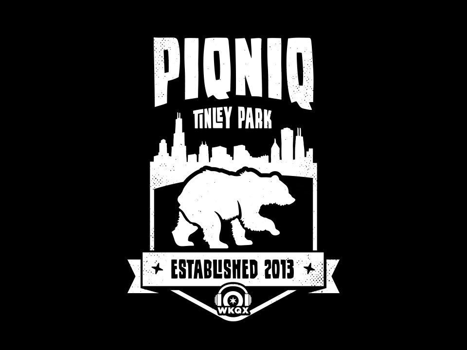 PIQNIQ T-shirt detail